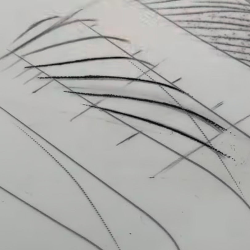 Mini Nano Brows