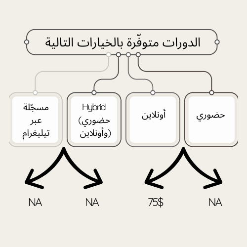 دورة استشارات